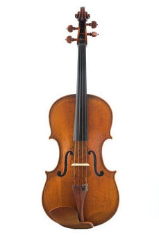 Viola
